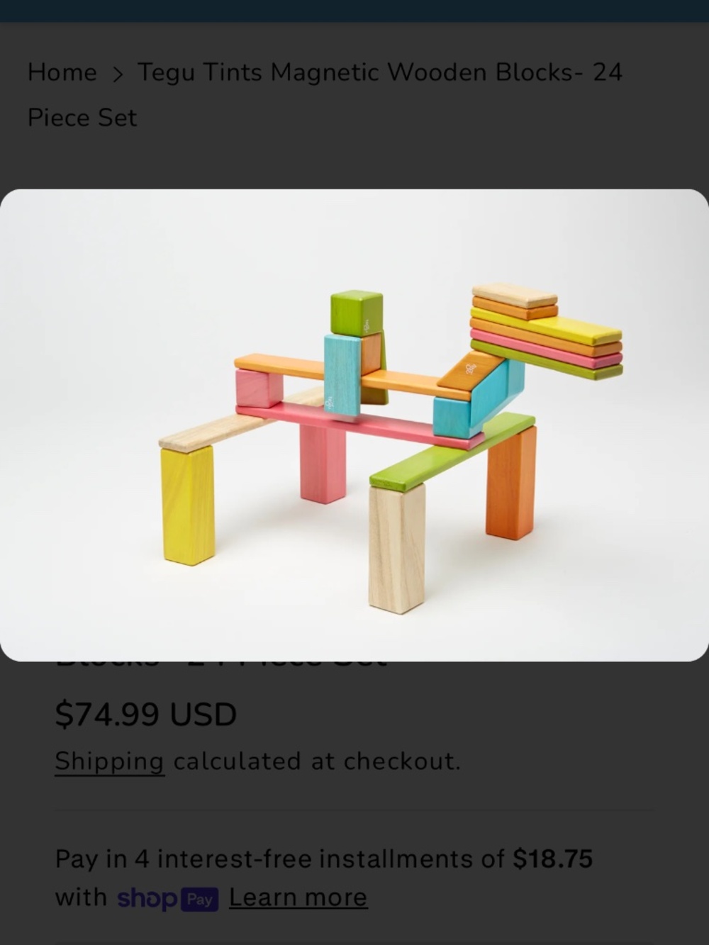 Tegu "Magnetic Wooden Blocks 24-piece set" NWT - Picture 10 of 14